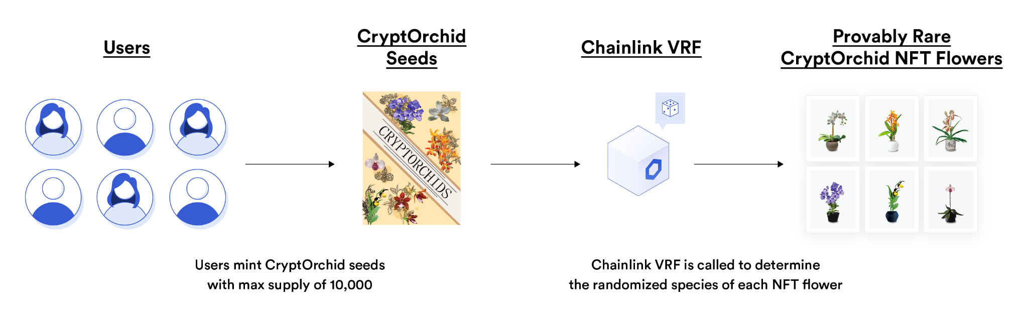A diagram showing how CryptOrchid uses Chainlink VRF to mint provably rare NFTs.