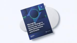 Managing Climate Change in the Energy Industry Report